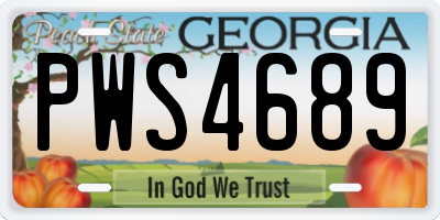 GA license plate PWS4689