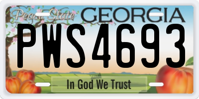 GA license plate PWS4693
