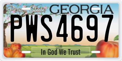 GA license plate PWS4697