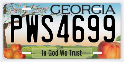 GA license plate PWS4699