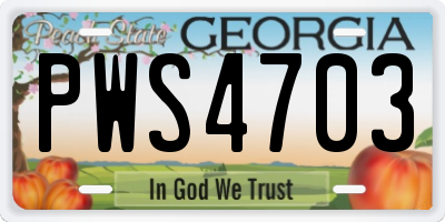 GA license plate PWS4703