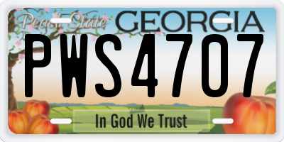 GA license plate PWS4707