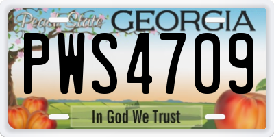 GA license plate PWS4709