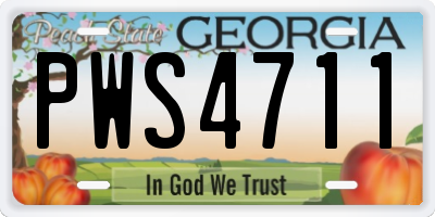 GA license plate PWS4711
