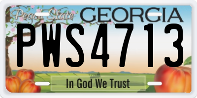 GA license plate PWS4713