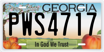 GA license plate PWS4717