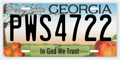 GA license plate PWS4722