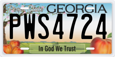 GA license plate PWS4724