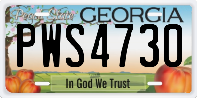 GA license plate PWS4730