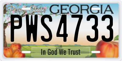 GA license plate PWS4733