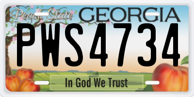 GA license plate PWS4734