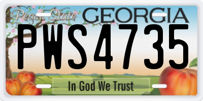 GA license plate PWS4735