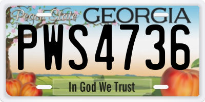 GA license plate PWS4736