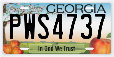 GA license plate PWS4737