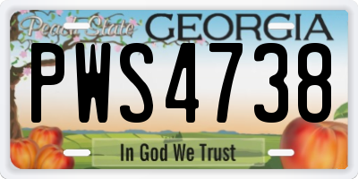 GA license plate PWS4738