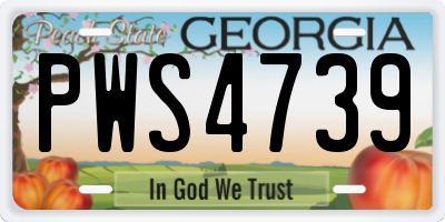 GA license plate PWS4739