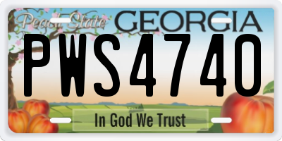 GA license plate PWS4740