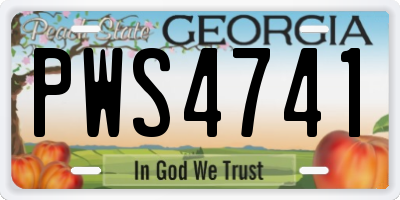GA license plate PWS4741