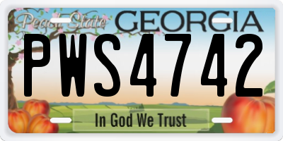 GA license plate PWS4742