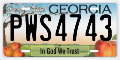 GA license plate PWS4743