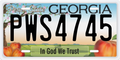 GA license plate PWS4745
