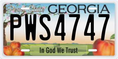 GA license plate PWS4747