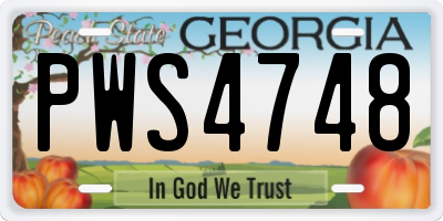 GA license plate PWS4748