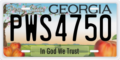 GA license plate PWS4750