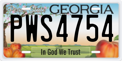 GA license plate PWS4754