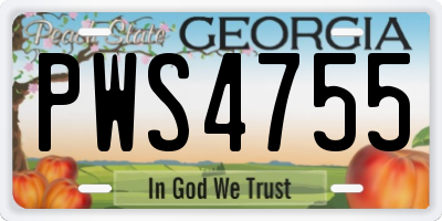 GA license plate PWS4755