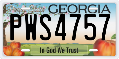 GA license plate PWS4757
