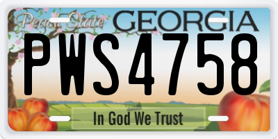 GA license plate PWS4758