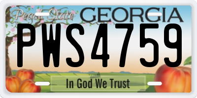 GA license plate PWS4759