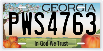 GA license plate PWS4763