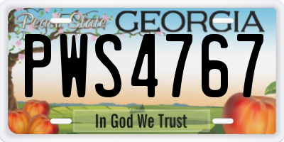 GA license plate PWS4767