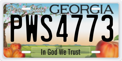 GA license plate PWS4773