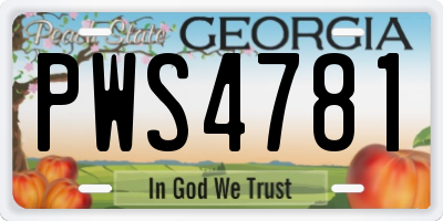 GA license plate PWS4781