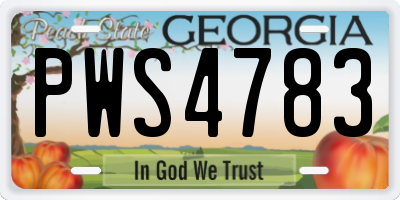 GA license plate PWS4783