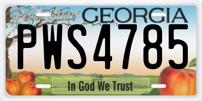 GA license plate PWS4785