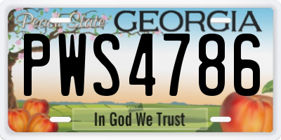 GA license plate PWS4786