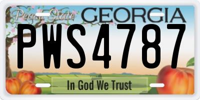 GA license plate PWS4787