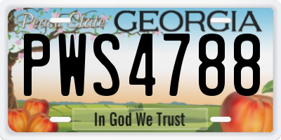 GA license plate PWS4788