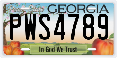 GA license plate PWS4789