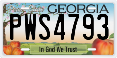 GA license plate PWS4793