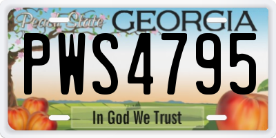 GA license plate PWS4795