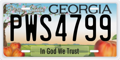GA license plate PWS4799