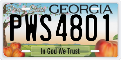 GA license plate PWS4801