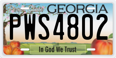 GA license plate PWS4802
