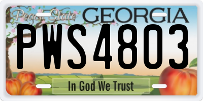 GA license plate PWS4803