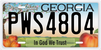 GA license plate PWS4804